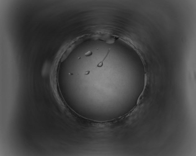 X0000100400241200806061322