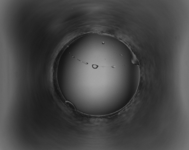 X0000100400242200806061322