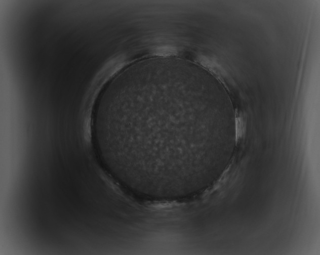 X0000100400243200806061322