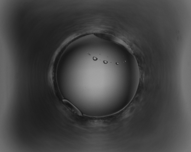 X0000100400244200806061322