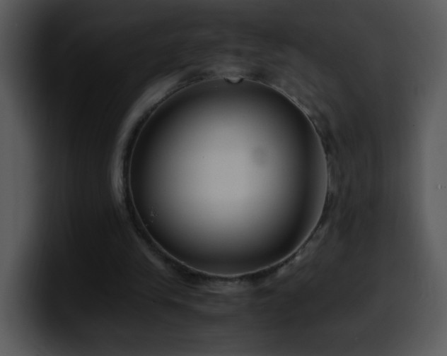X0000100400245200806061322
