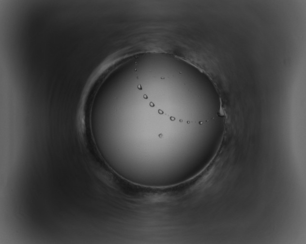 X0000100400246200806061322