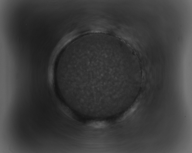X0000100400247200806061322