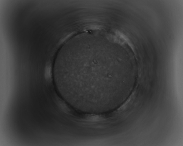 X0000100400249200806061322