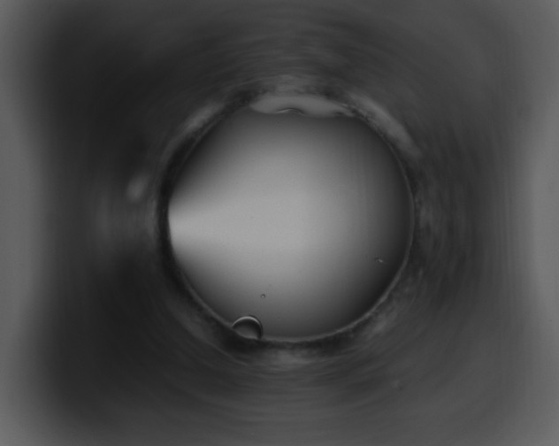 X0000100400250200806061322