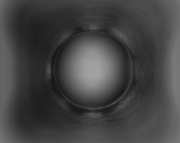 X0000100400251200806061322