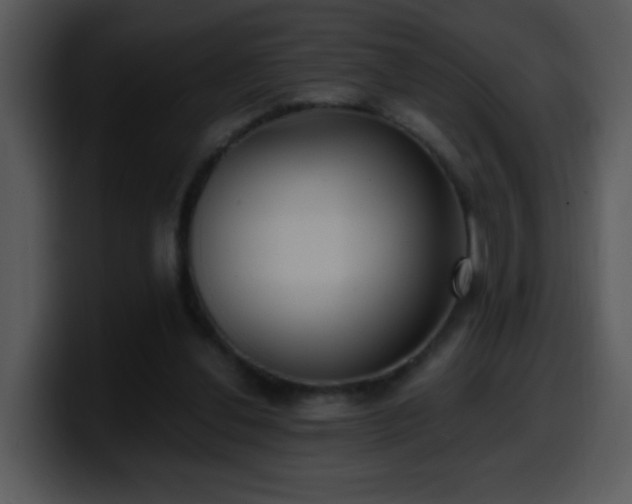 X0000100400252200806061322