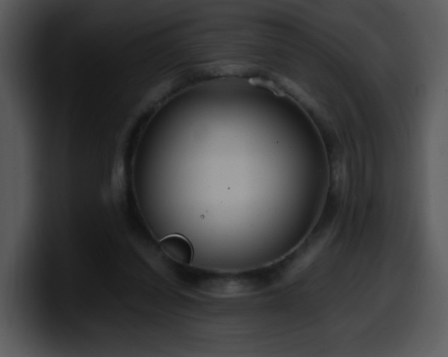 X0000100400254200806061322