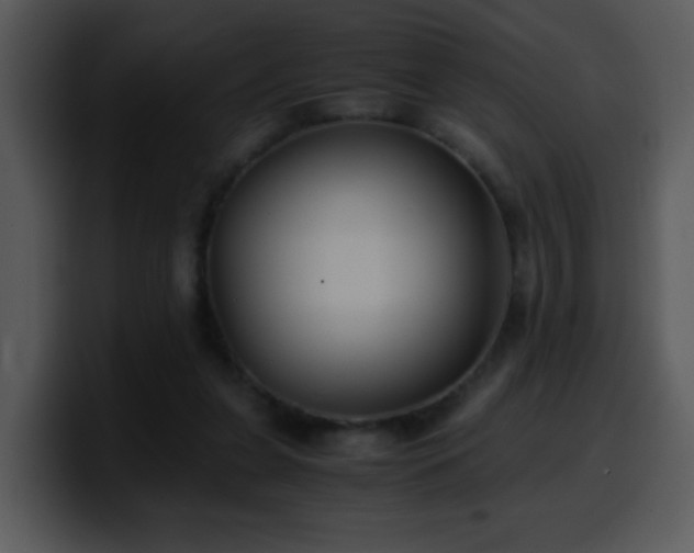 X0000100400255200806061322