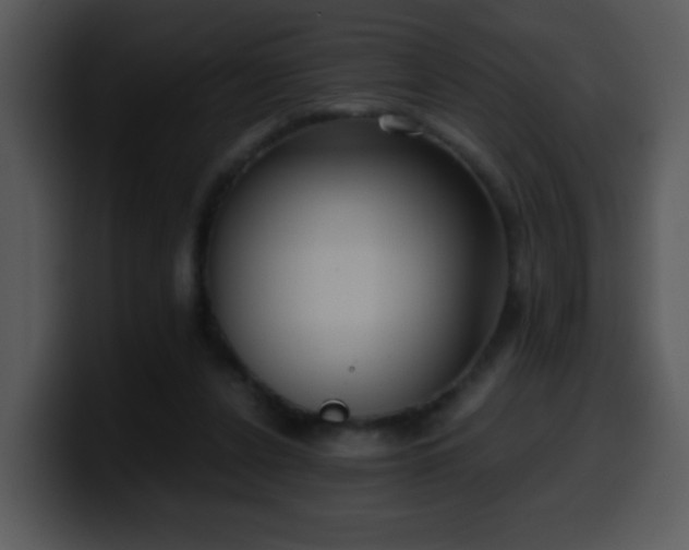 X0000100400256200806061322