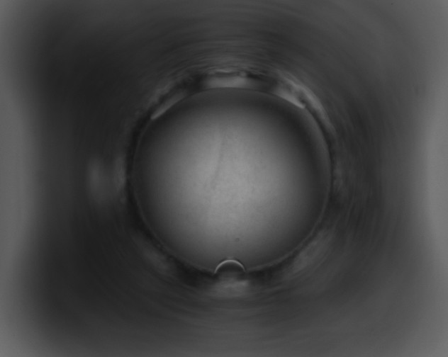 X0000100400257200806061322