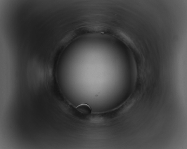 X0000100400258200806061322