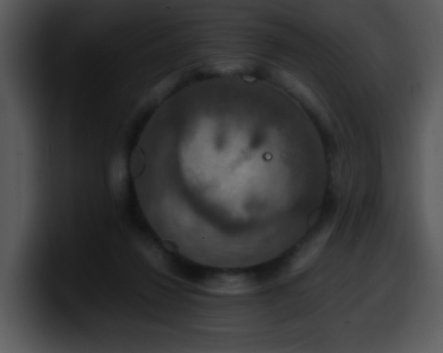X0000100400260200806061322