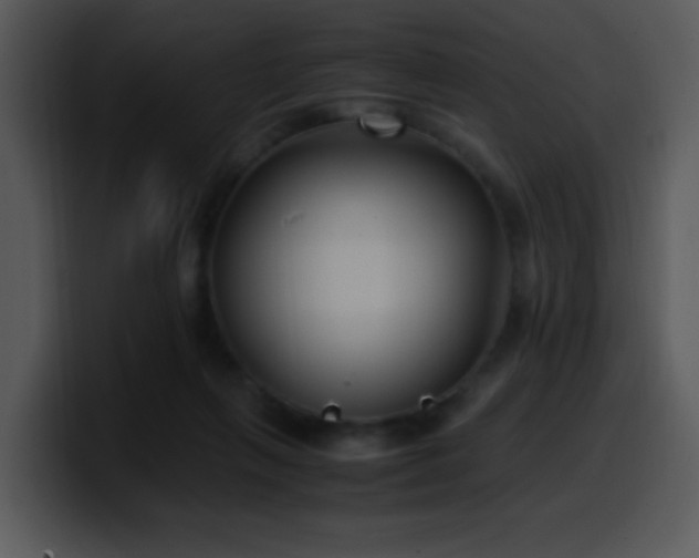 X0000100400263200806061322