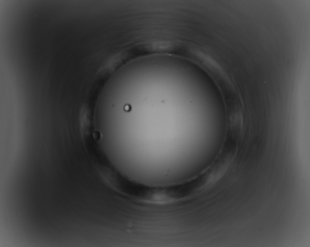 X0000100400264200806061322