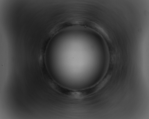 X0000100400265200806061322
