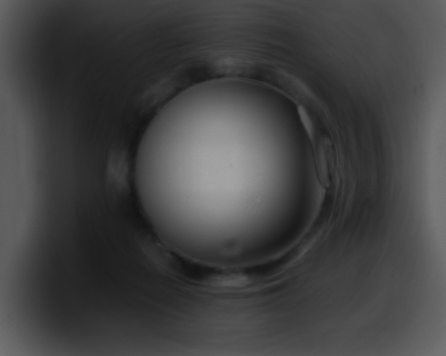 X0000100400266200806061322