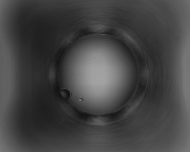 X0000100400268200806061323