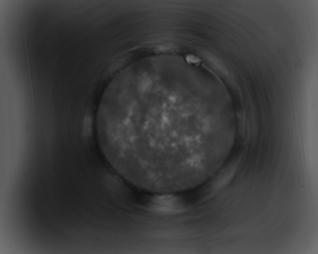 X0000100400269200806061323