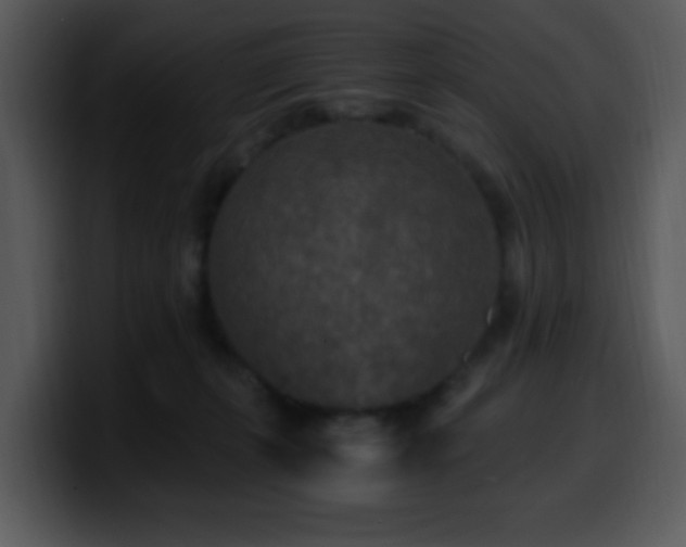 X0000100400271200806061323