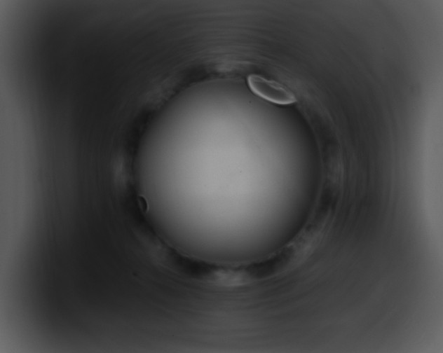 X0000100400272200806061323
