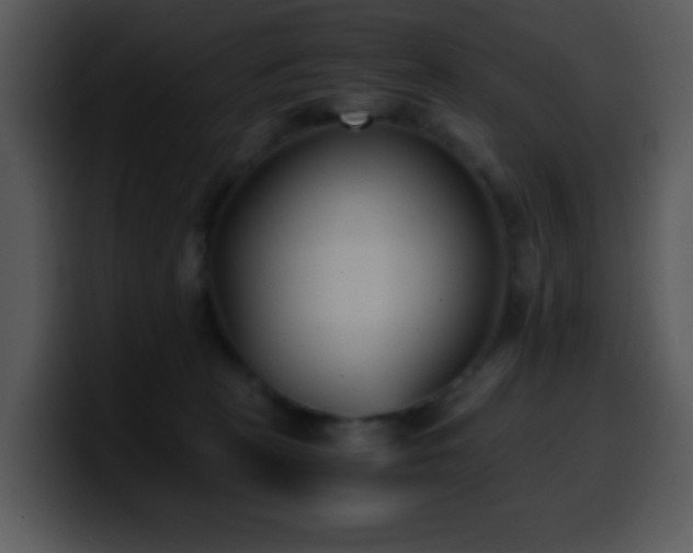 X0000100400273200806061323