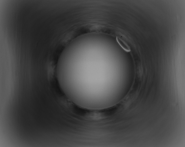 X0000100400276200806061323