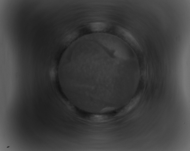X0000100400277200806061323