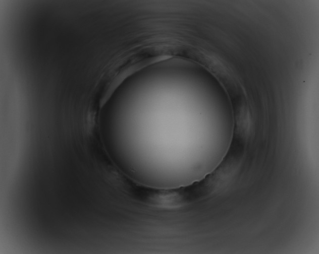 X0000100400278200806061323