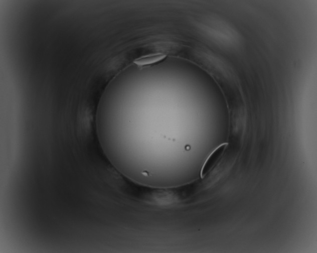 X0000100400279200806061323
