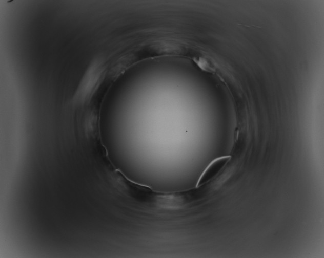 X0000100400281200806061323