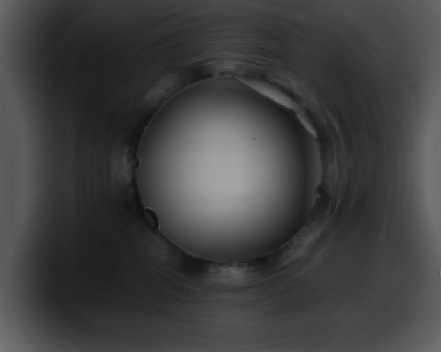 X0000100400282200806061323
