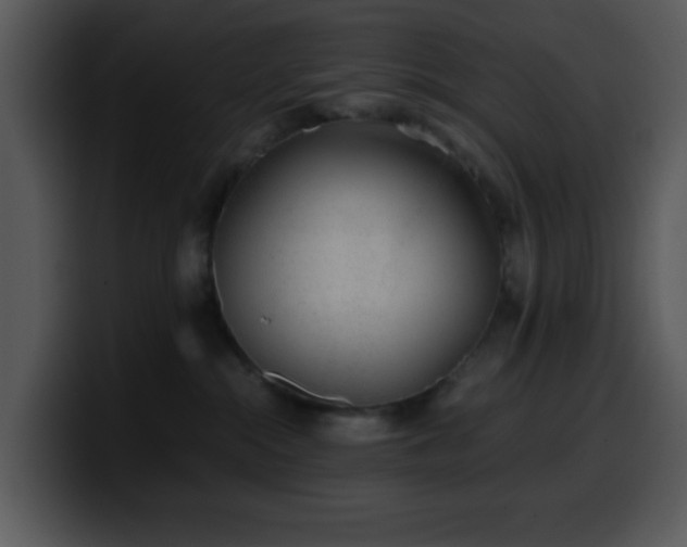 X0000100400284200806061323