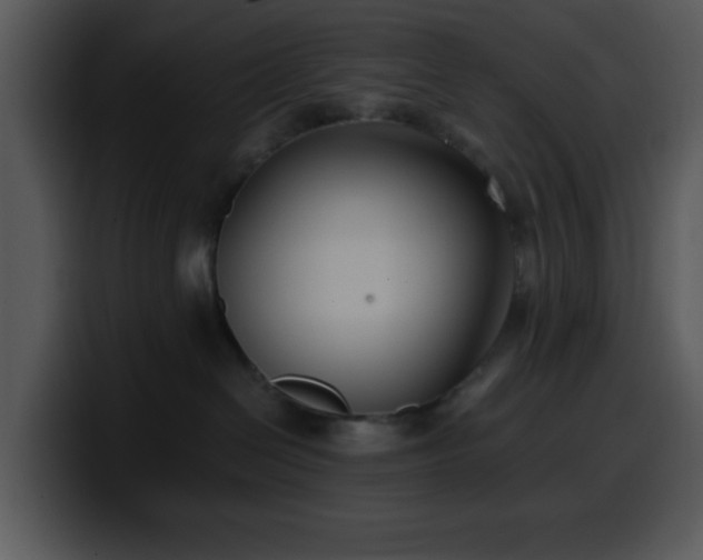 X0000100400286200806061323