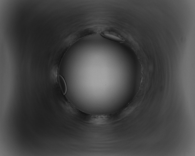 X0000100400288200806061323