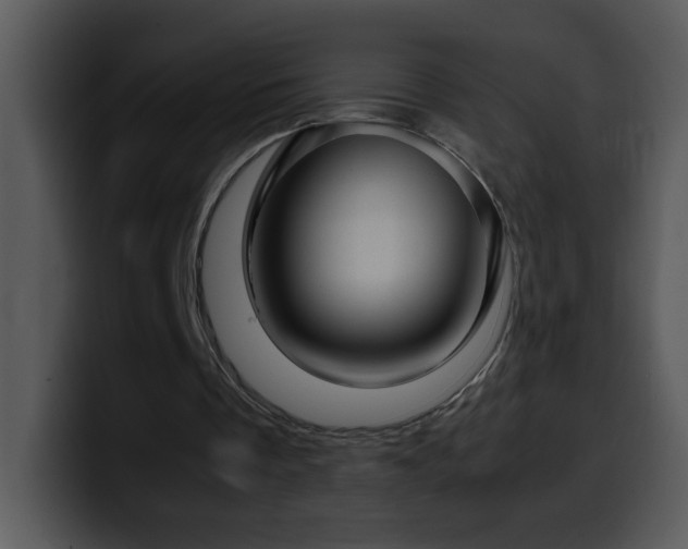 X0000100400289200806061322