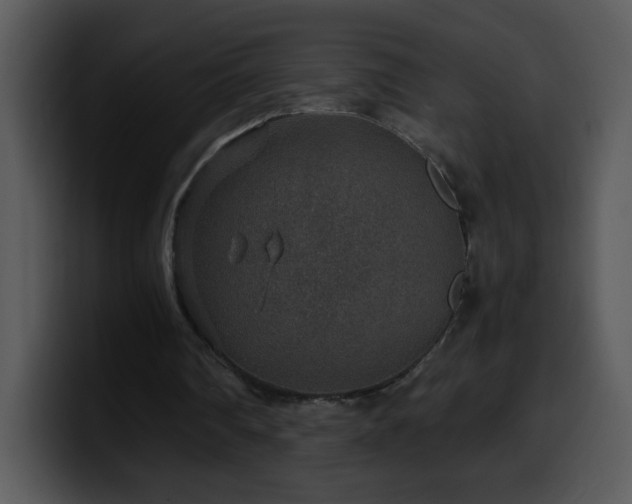 X0000100400290200806061322
