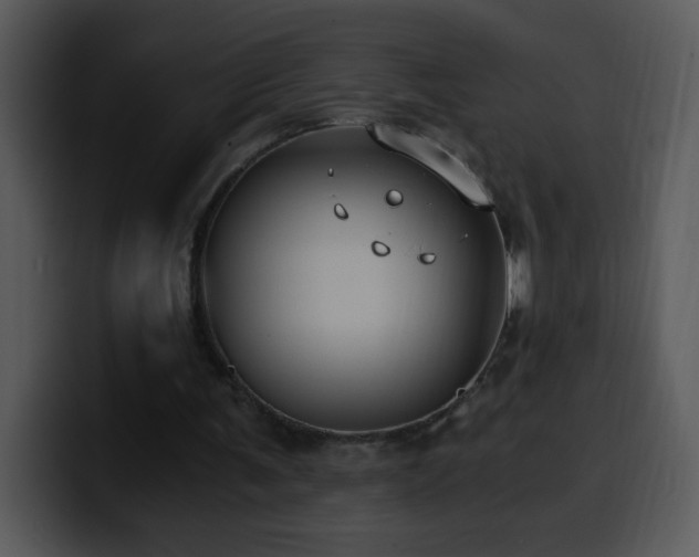 X0000100400291200806061322