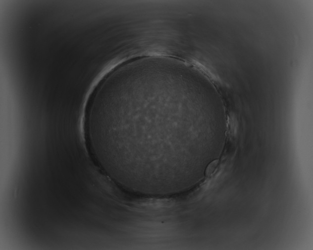 X0000100400292200806061322