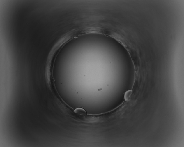 X0000100400293200806061322