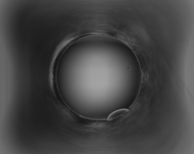 X0000100400294200806061322