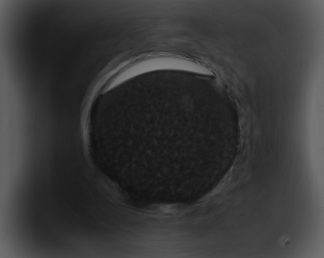 X0000100400295200806061322