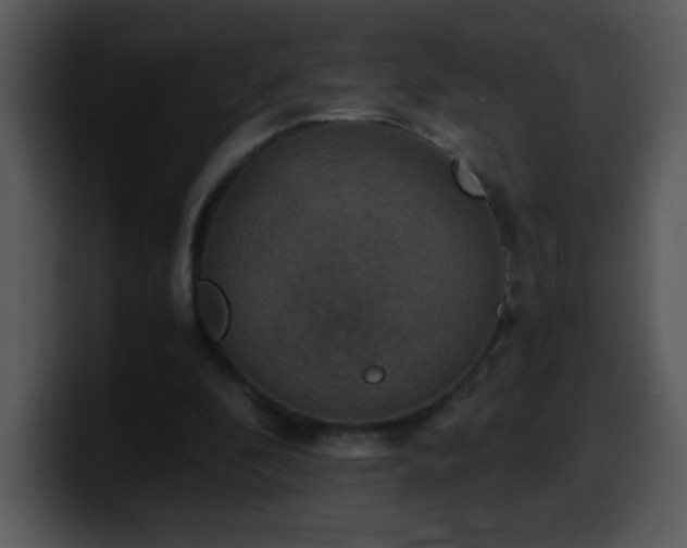 X0000100400296200806061322