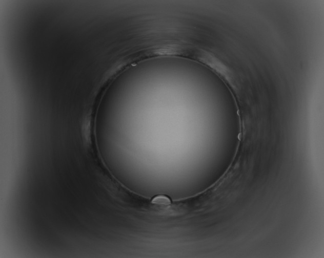 X0000100400297200806061322