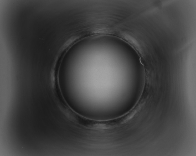 X0000100400298200806061322