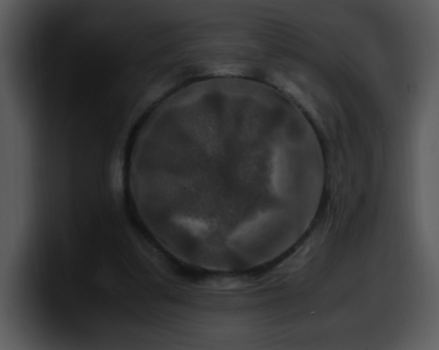 X0000100400299200806061322