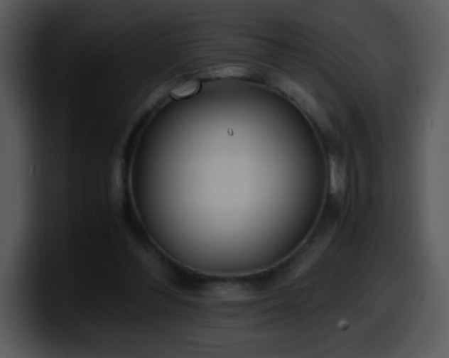 X0000100400300200806061322