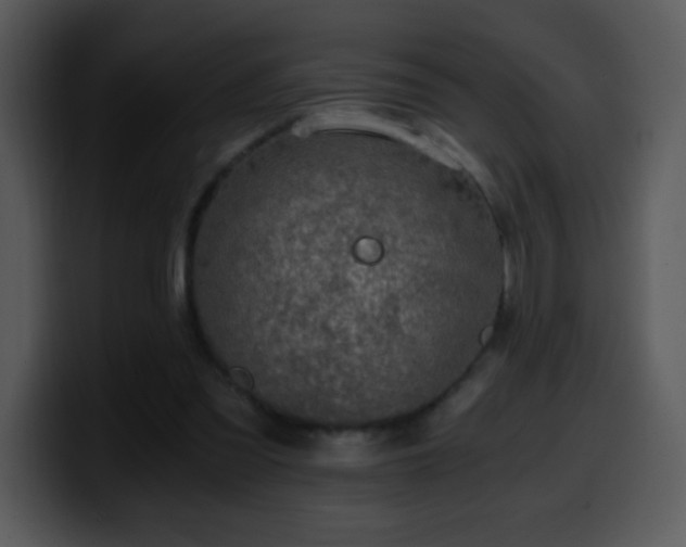 X0000100400301200806061322