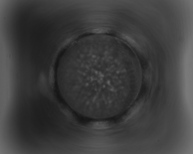 X0000100400303200806061322
