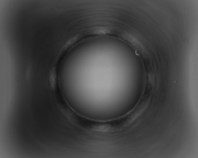 X0000100400304200806061322
